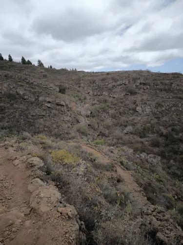 acojeje|Montaña de Tejina, Tenerife, Spain